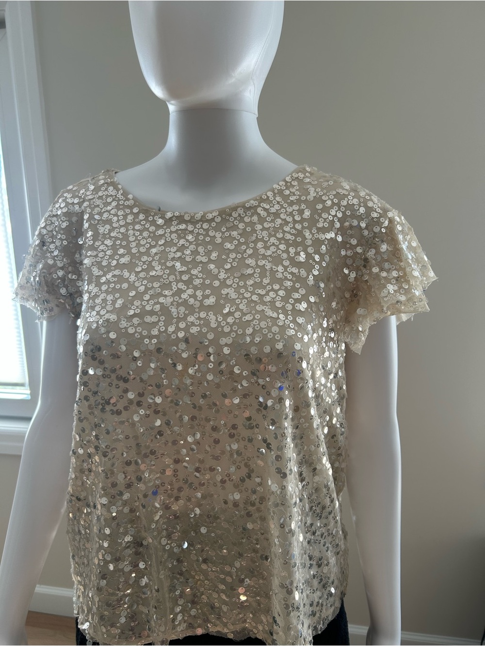 Anthropologie Champagne Sequin Flutter-Sleeve Top

Excellent Condition